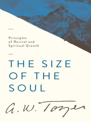 cover image of The Size of the Soul